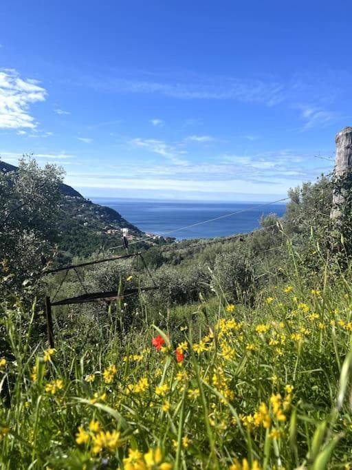 Olivetta House Holiday Moneglia Buitenkant foto